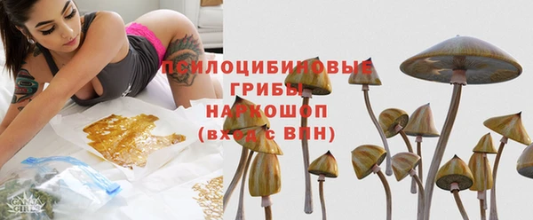 крисы Ельня