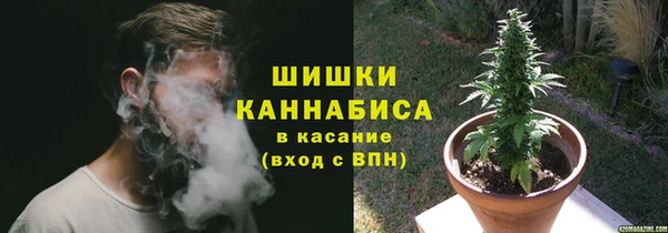 альфа пвп Елизово