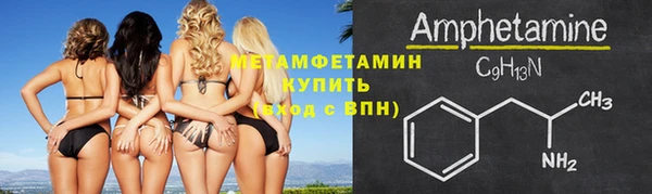 крисы Ельня