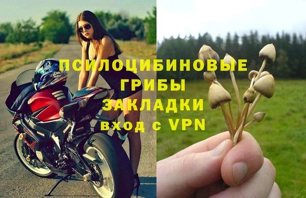 альфа пвп Елизово