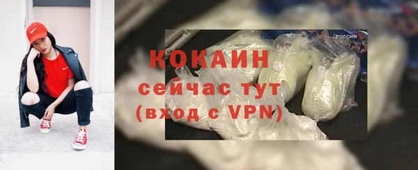 альфа пвп Елизово