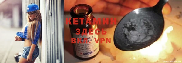 крисы Ельня