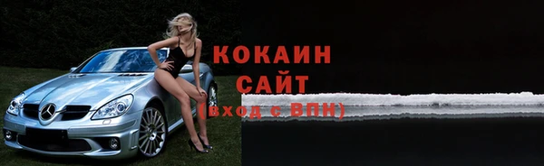 крисы Ельня