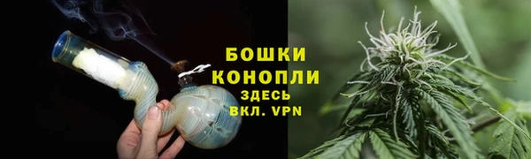 крисы Ельня
