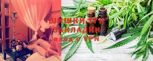 крисы Ельня