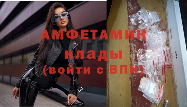 альфа пвп Елизово