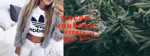 крисы Ельня