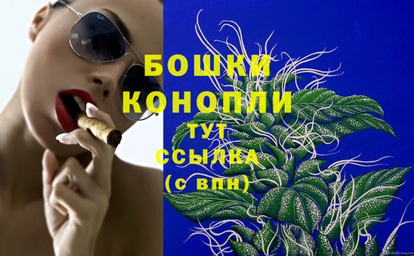спиды Инсар