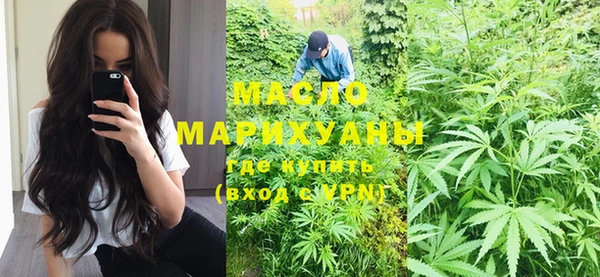 крисы Ельня