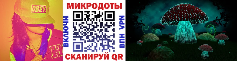Псилоцибиновые грибы мухоморы Гусь-Хрустальный